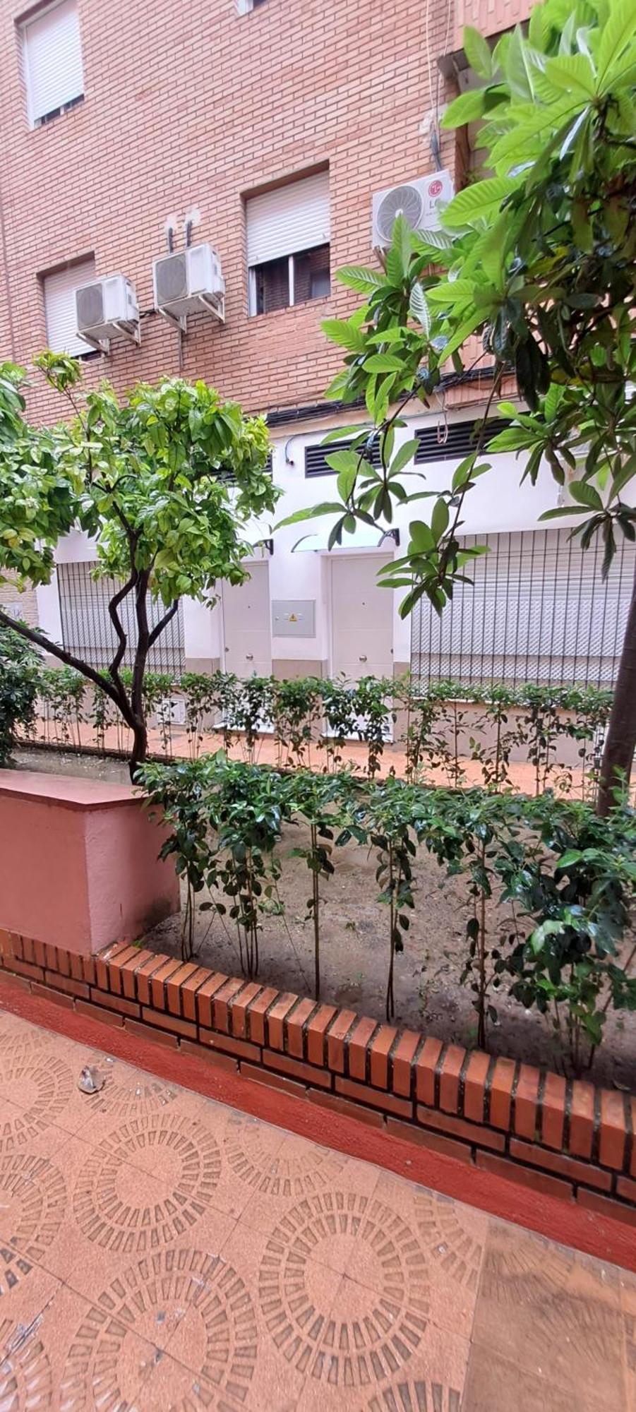 Apartamentos Suite Sol 코르도바 외부 사진