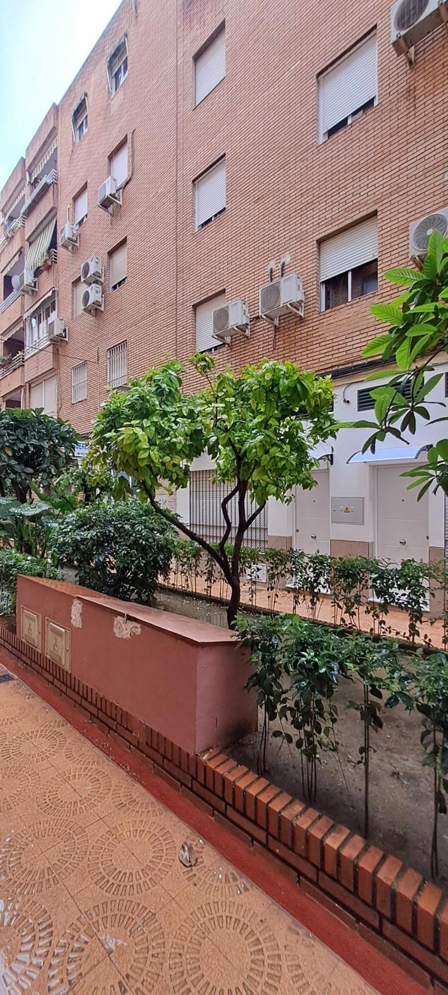 Apartamentos Suite Sol 코르도바 외부 사진